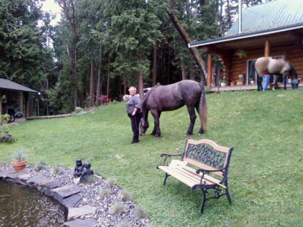 Equine/Horse Facilities equine-horse-facilities-general-contractor