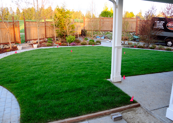 victoria-landscaping-after-construction