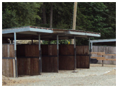 horse riding ring construction victoria cowichan valley gulf islands