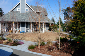 victoria-landscaping-before-construction